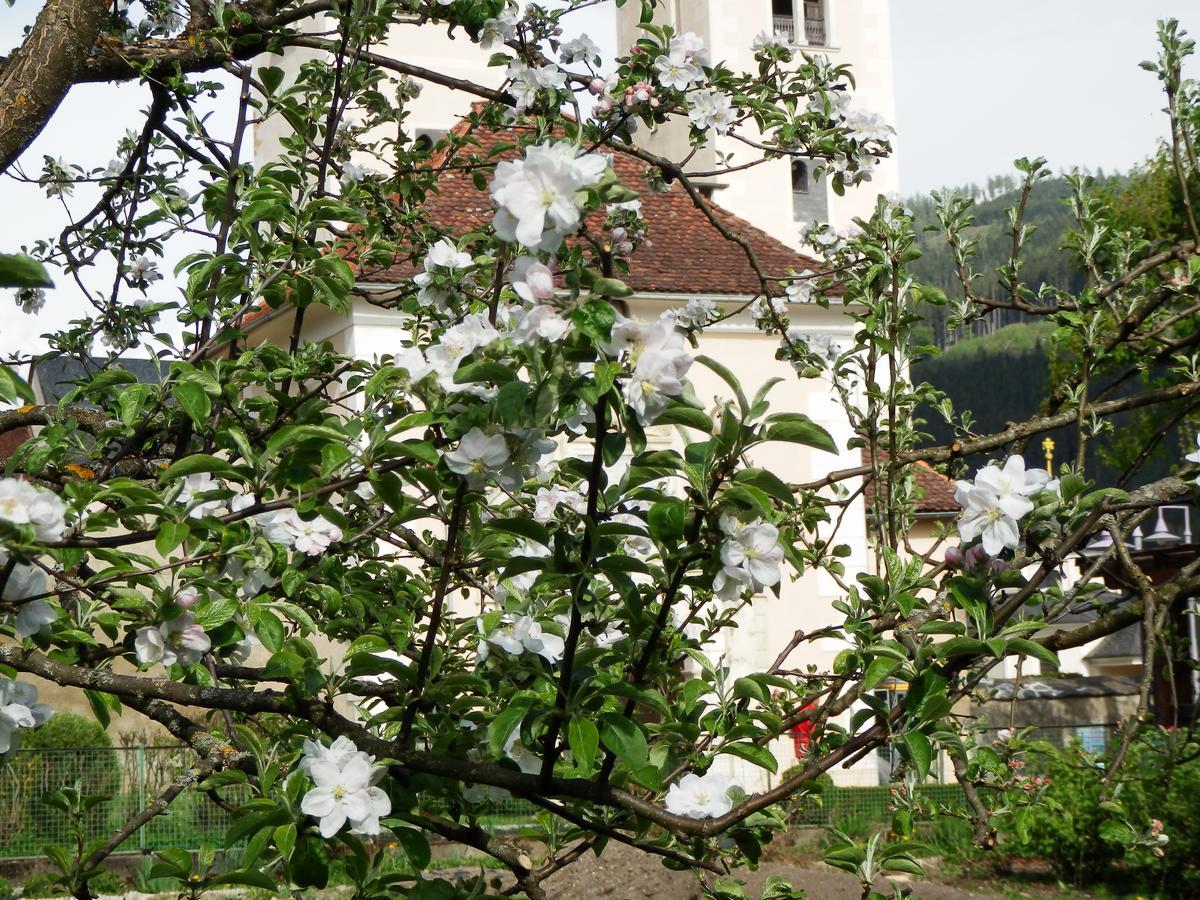 Kronenwirt Gurk Luaran gambar